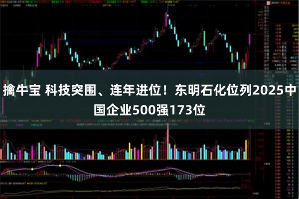 擒牛宝 科技突围、连年进位！东明石化位列2025中国企业500强173位