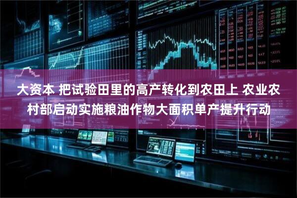 大资本 把试验田里的高产转化到农田上 农业农村部启动实施粮油作物大面积单产提升行动