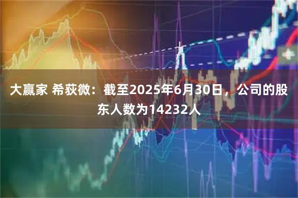 大赢家 希荻微：截至2025年6月30日，公司的股东人数为14232人