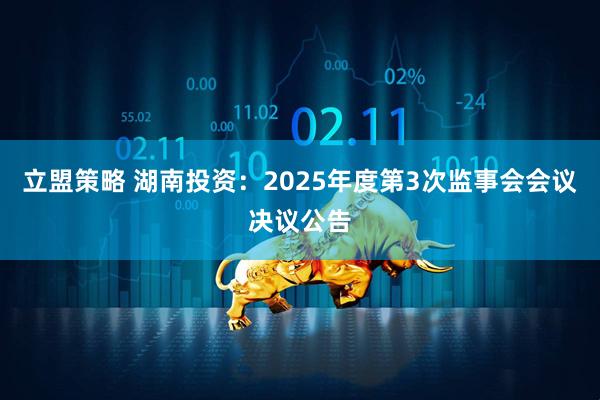 立盟策略 湖南投资：2025年度第3次监事会会议决议公告