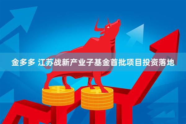 金多多 江苏战新产业子基金首批项目投资落地