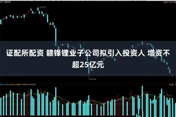 证配所配资 赣锋锂业子公司拟引入投资人 增资不超25亿元