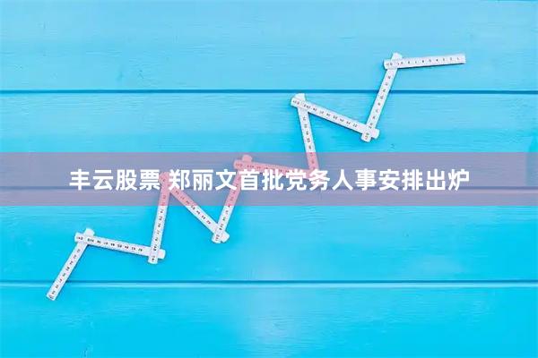 丰云股票 郑丽文首批党务人事安排出炉