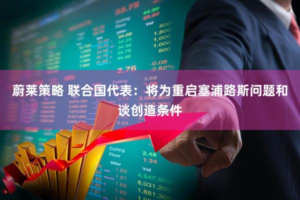 蔚莱策略 联合国代表:将为重启塞浦路斯问题和谈创造条件