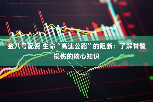金八号配资 生命“高速公路”的阻断：了解脊髓损伤的核心知识