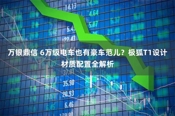 万银鼎信 6万级电车也有豪车范儿？极狐T1设计材质配置全解析