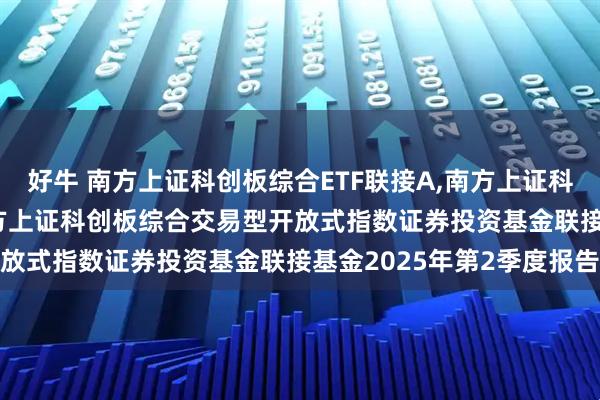 好牛 南方上证科创板综合ETF联接A,南方上证科创板综合ETF联接C 南方上证科创板综合交易型开放式指数证券投资基金联接基金2025年第2季度报告