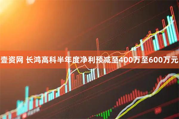 壹资网 长鸿高科半年度净利预减至400万至600万元