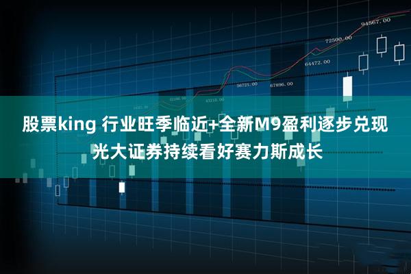 股票king 行业旺季临近+全新M9盈利逐步兑现 光大证券持续看好赛力斯成长